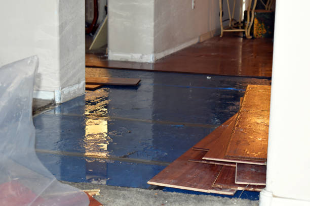 Professional Burst Pipe Cleanup technician working in Shirley, MA